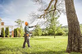 Best Hedge Trimming  in Slidell, LA